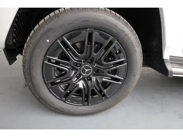 MERCEDES-BENZ G 580 EQ (24/25)