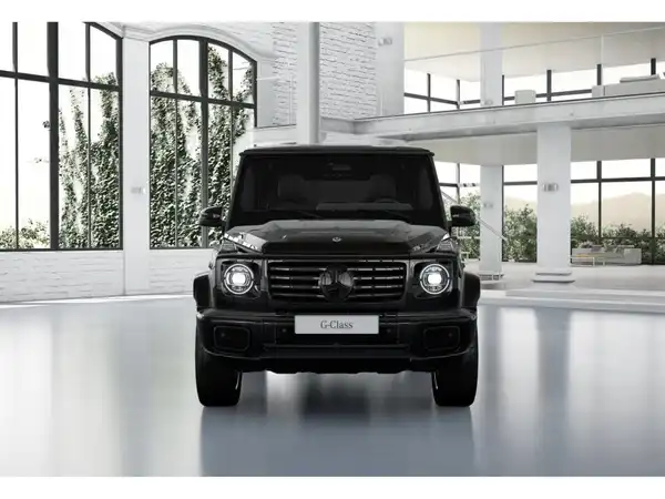 MERCEDES-BENZ G 580 EQ (6/10)