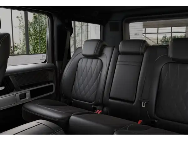 MERCEDES-BENZ G 580 EQ (9/10)