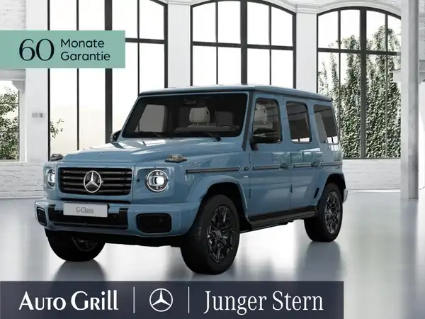 MERCEDES-BENZ G 580 (2/11)