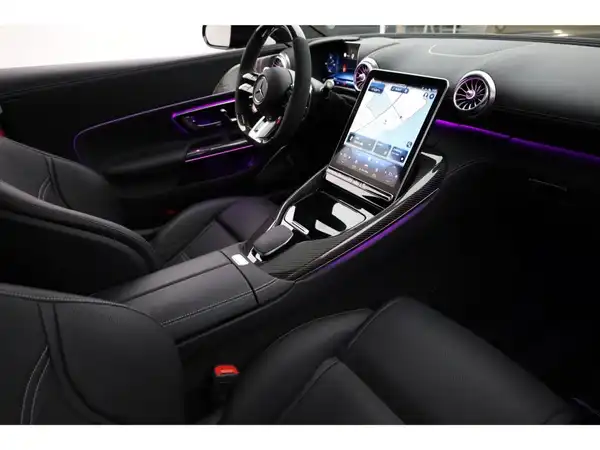 MERCEDES-BENZ AMG GT 63 4MATIC+ (21/23)