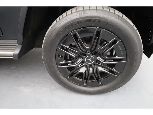 MERCEDES-BENZ G 580 EQ (24/25)