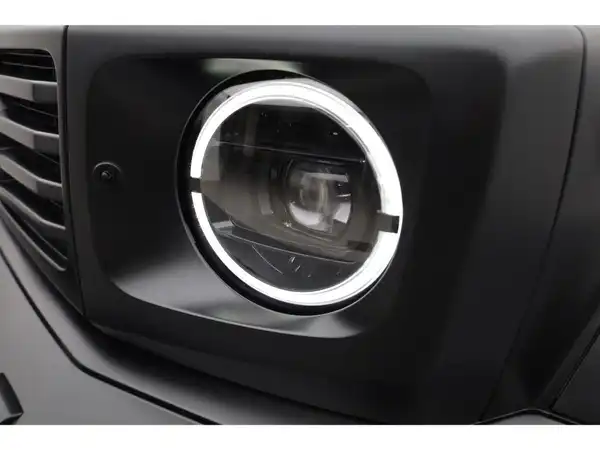 MERCEDES-BENZ G 580 EQ (25/25)