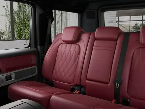 MERCEDES-BENZ G 580 EQ (9/10)