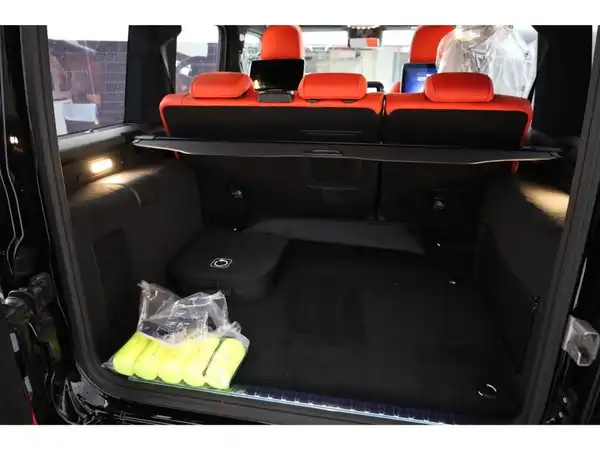 MERCEDES-BENZ G 580 EQ (20/23)