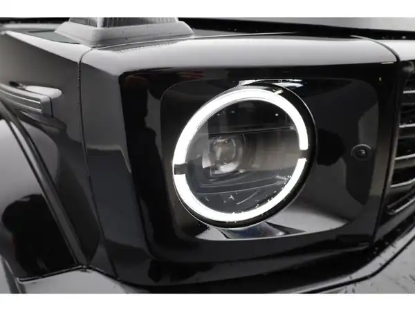 MERCEDES-BENZ G 580 EQ (23/23)