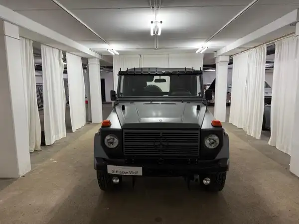 MERCEDES-BENZ G 250GD Wolf (2/27)