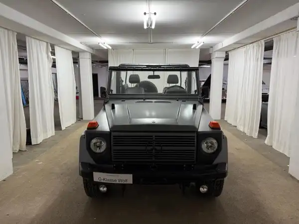 MERCEDES-BENZ G 250GD Wolf (19/27)