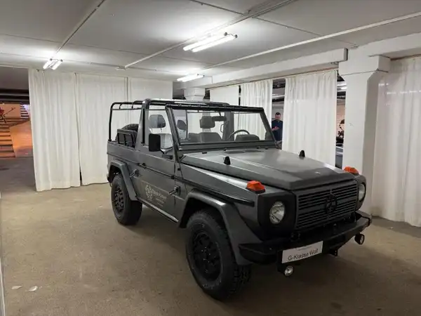 MERCEDES-BENZ G 250GD Wolf (20/27)