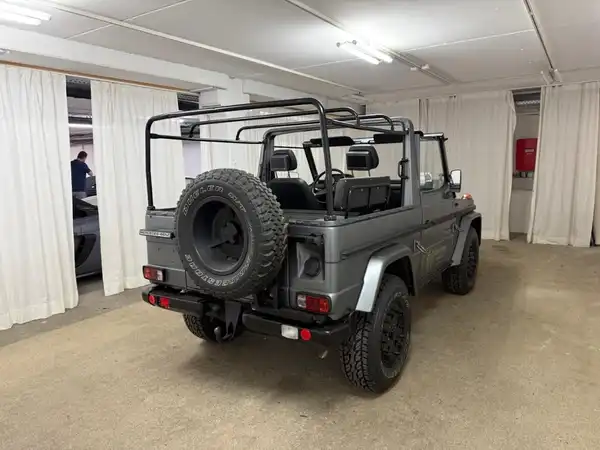 MERCEDES-BENZ G 250GD Wolf (21/27)