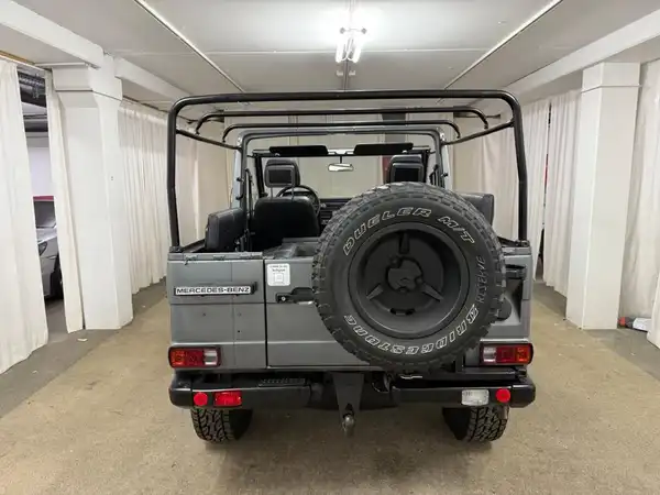 MERCEDES-BENZ G 250GD Wolf (22/27)