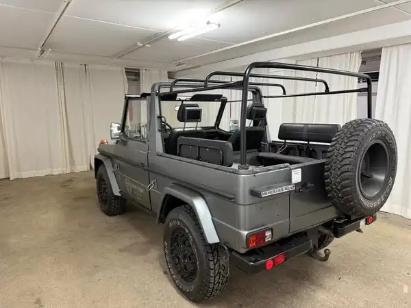MERCEDES-BENZ G 250GD Wolf (23/27)