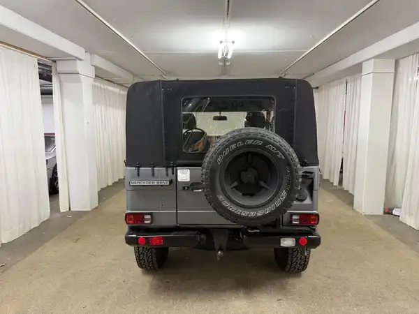 MERCEDES-BENZ G 250GD Wolf (10/27)
