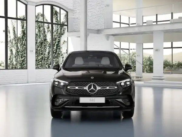 MERCEDES-BENZ GLC 220 d 4M (3/11)