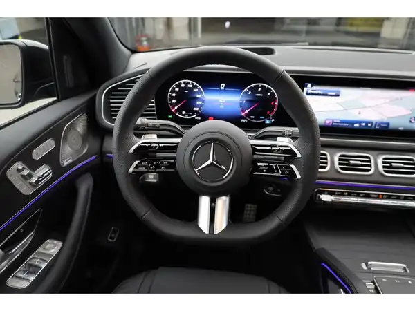 MERCEDES-BENZ GLS 450 d 4M (14/30)