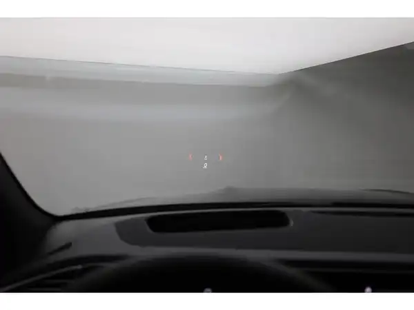 MERCEDES-BENZ GLS 450 d 4M (17/30)