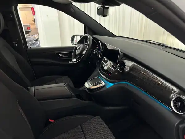 MERCEDES-BENZ V 300 d 4M (14/24)