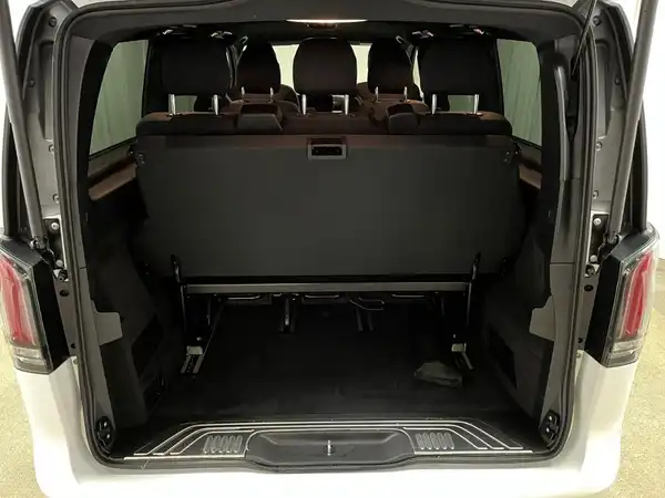 MERCEDES-BENZ V 250 d (21/25)