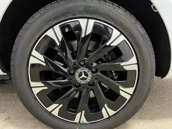 MERCEDES-BENZ V 250 d (25/25)