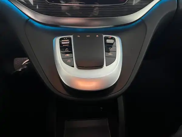 MERCEDES-BENZ V 300 d (24/29)