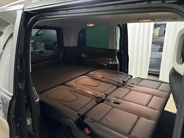 MERCEDES-BENZ V 250 d (17/22)