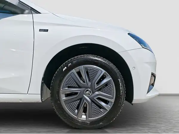 ŠKODA Fabia Selection 1.0 TSI LED Virtual Kamera ACC (17/17)