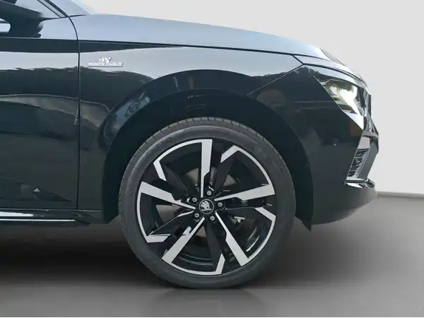 ŠKODA Kamiq 1.5 TSI Monte Carlo DSG (16/16)