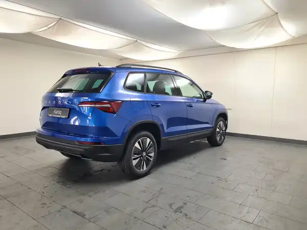 ŠKODA Karoq Selection 2.0 TDI 85 kW 6-Gang (6/17)