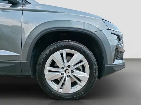 ŠKODA Karoq Selection 1.5 TSI Matrix Kamera ACC Winter (16/16)