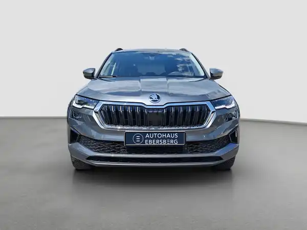 ŠKODA Karoq Selection 1.5 TSI Matrix Kamera ACC Winter (3/16)