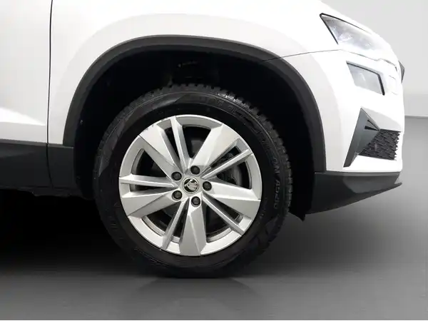 ŠKODA Karoq Elegance 1.5 TSI MATRIX Winter el.Heck Navi (15/15)
