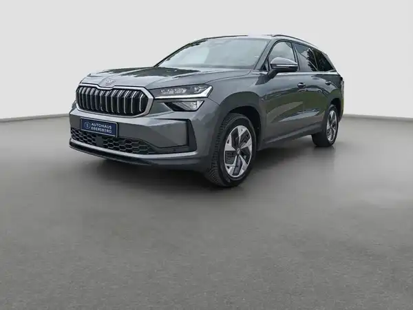 ŠKODA Kodiaq Selection 2.0 TDI 4x4 Assist+ MATRIX LenkHzg (2/16)