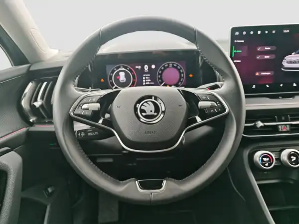 ŠKODA Kodiaq Selection 2.0 TDI 4x4 Assist+ MATRIX LenkHzg (11/16)