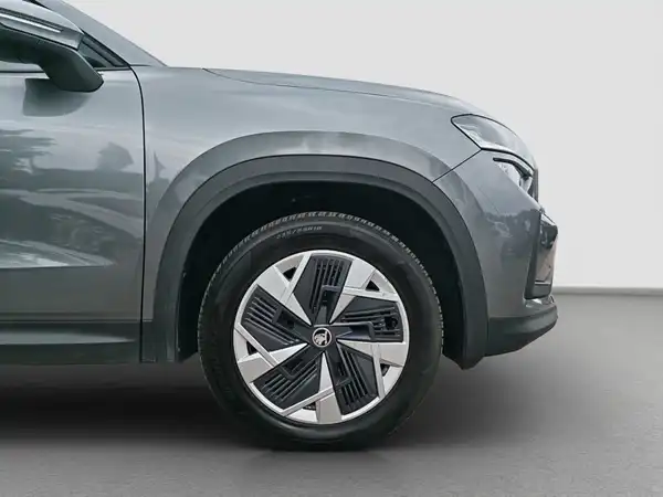 ŠKODA Kodiaq Selection 2.0 TDI 4x4 Assist+ MATRIX LenkHzg (16/16)