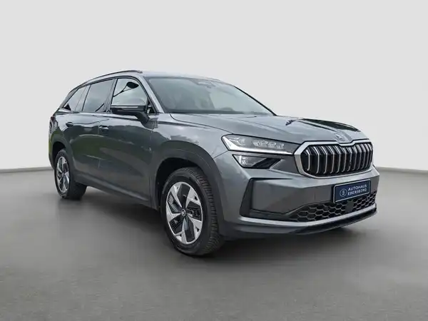 ŠKODA Kodiaq Selection 2.0 TDI 4x4 Assist+ MATRIX LenkHzg (4/16)