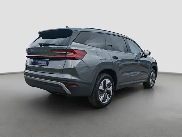 ŠKODA Kodiaq Selection 2.0 TDI 4x4 Assist+ MATRIX LenkHzg (5/16)