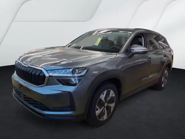 ŠKODA Kodiaq Selection 2.0 TDI 4x4 ACC MATRIX Assist+ AHK (2/5)