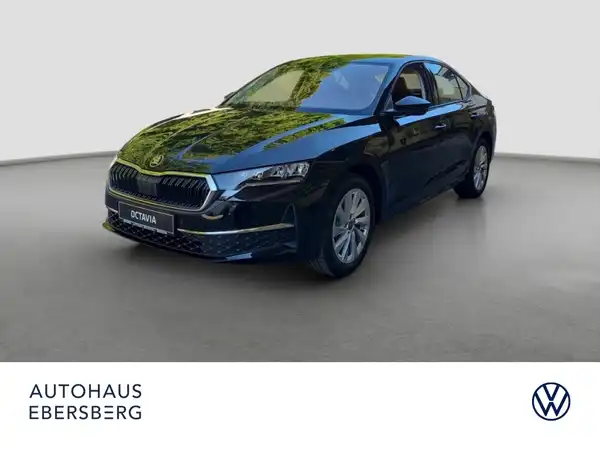 ŠKODA Octavia 2.0 TSI 150 KW 4x4 DSG (1/16)