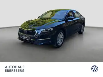 ŠKODA Octavia 2.0 TSI 150 KW 4x4 DSG (1/16)