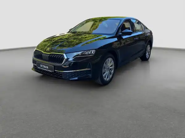 ŠKODA Octavia 2.0 TSI 150 KW 4x4 DSG (2/16)