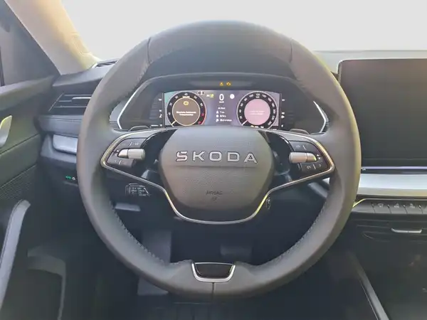ŠKODA Octavia 2.0 TSI 150 KW 4x4 DSG (11/16)