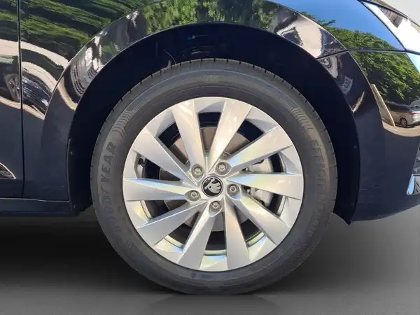 ŠKODA Octavia 2.0 TSI 150 KW 4x4 DSG (16/16)
