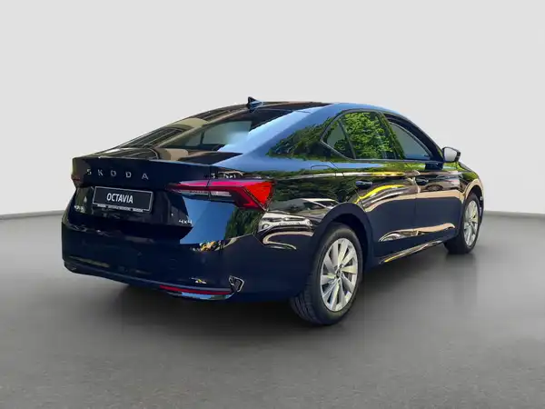 ŠKODA Octavia 2.0 TSI 150 KW 4x4 DSG (5/16)