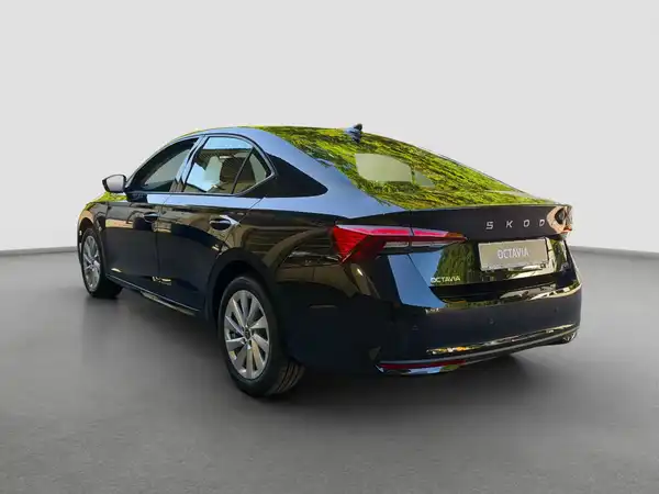 ŠKODA Octavia 2.0 TSI 150 KW 4x4 DSG (7/16)