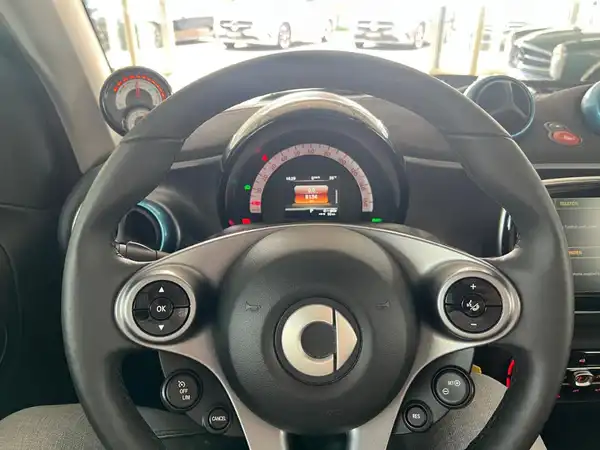 SMART fortwo EQ Cabrio (16/18)