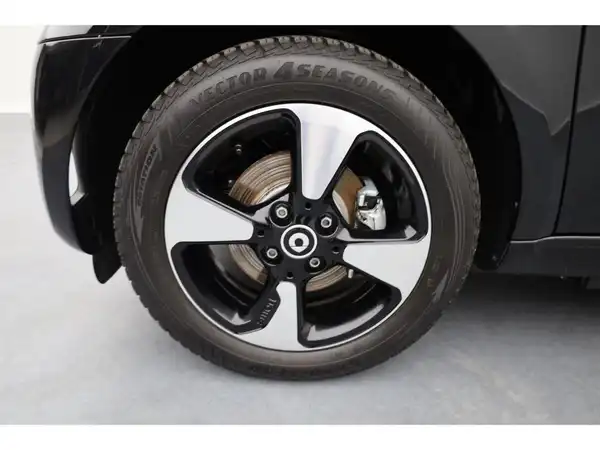 SMART fortwo EQ (18/19)