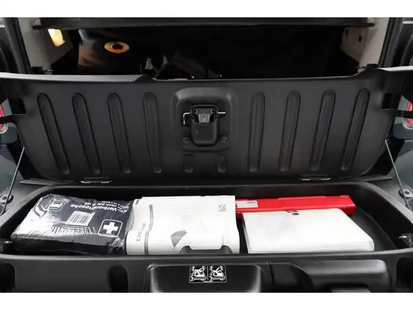 SMART fortwo EQ (16/17)