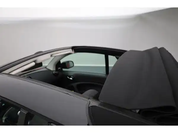 SMART fortwo EQ Cabrio (15/19)