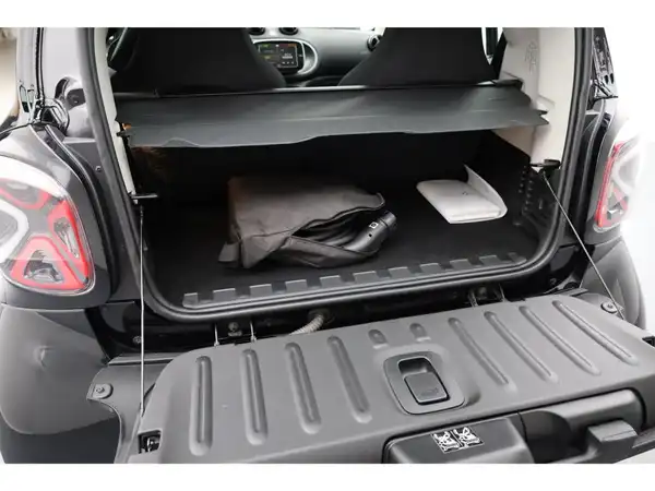 SMART EQ fortwo (18/21)