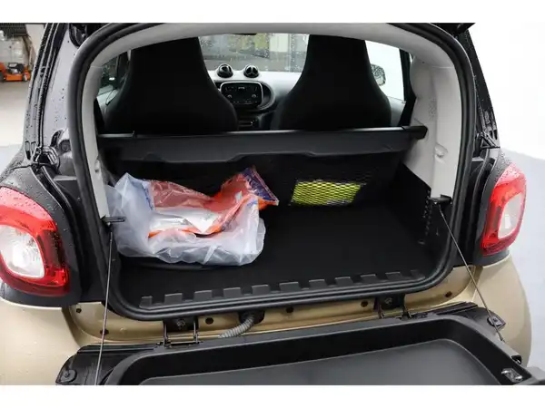 SMART EQ fortwo (17/19)